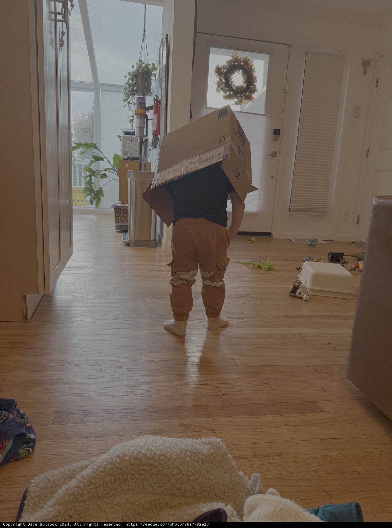 Child Playing with Cardboard Box at Home