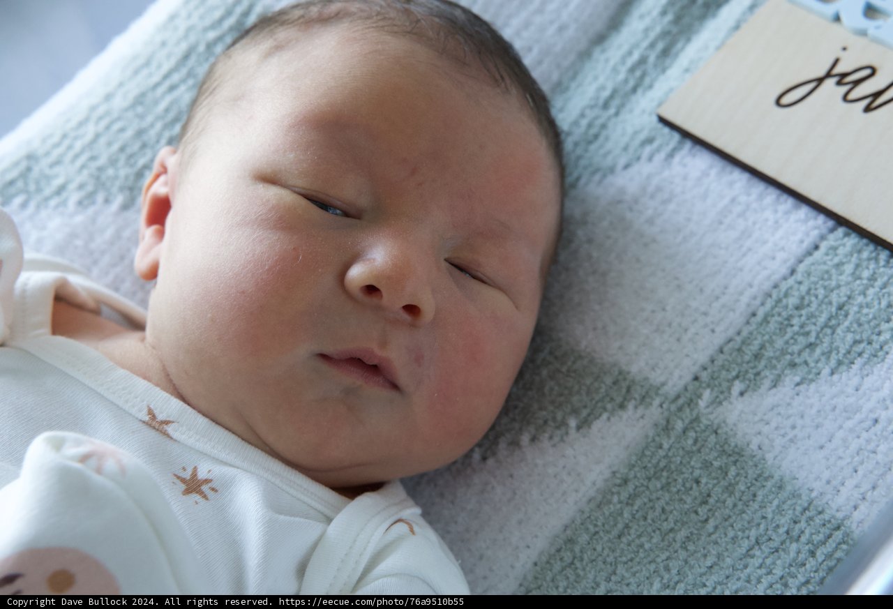 Welcome to the World, Leland