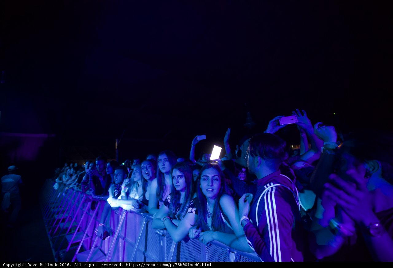 Electrifying Nightlife at Coachella