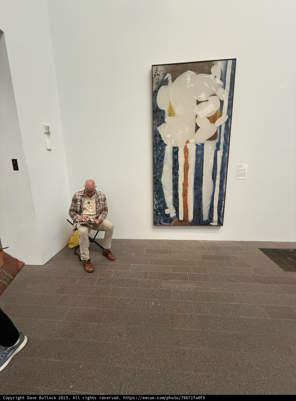 Contemplating Modern Art