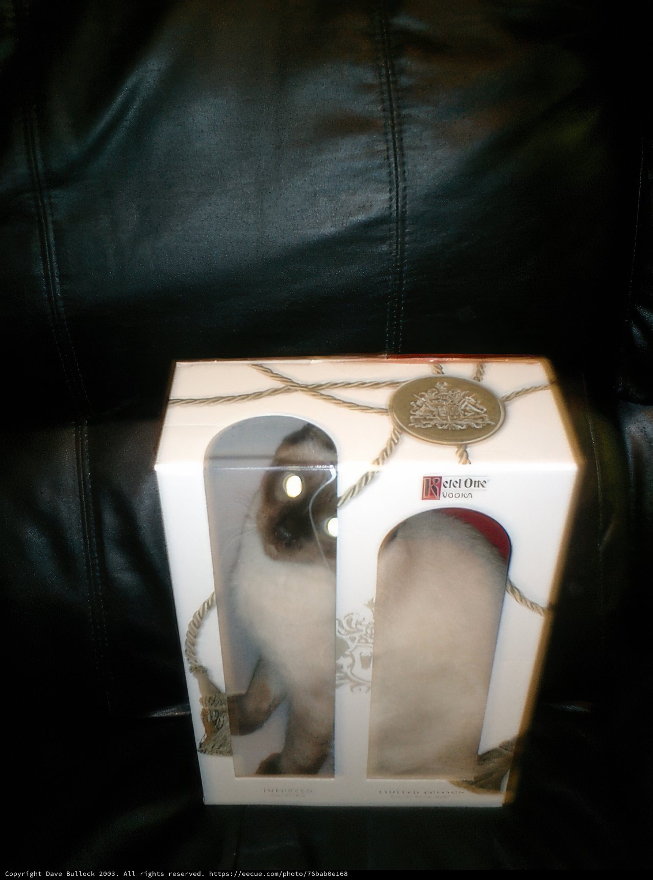 Feline in Flight Box