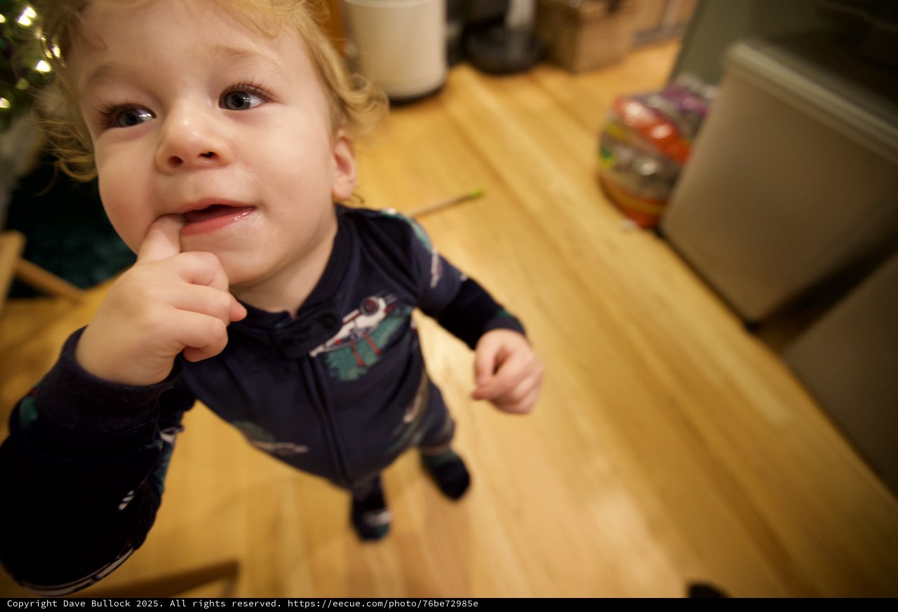 Curious Toddler in Kitchen on Christmas Morning