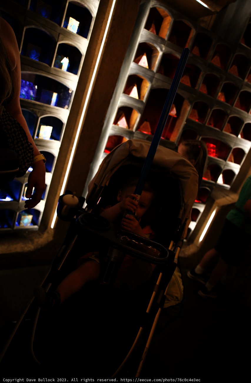 The Baby Jedi at Disneyland