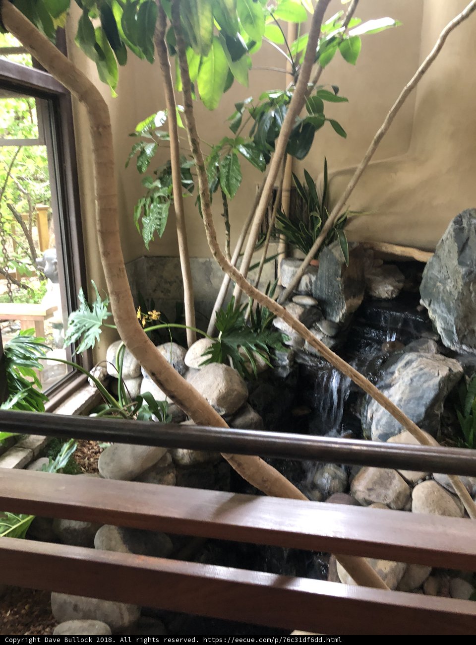 Indoor Waterfall Oasis