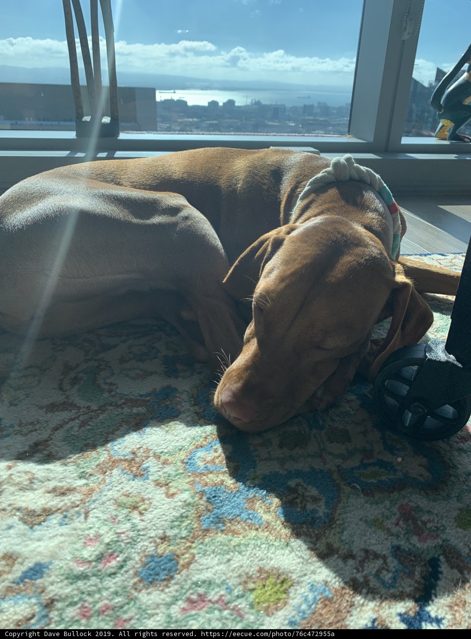 Resting on a Cloudy Day