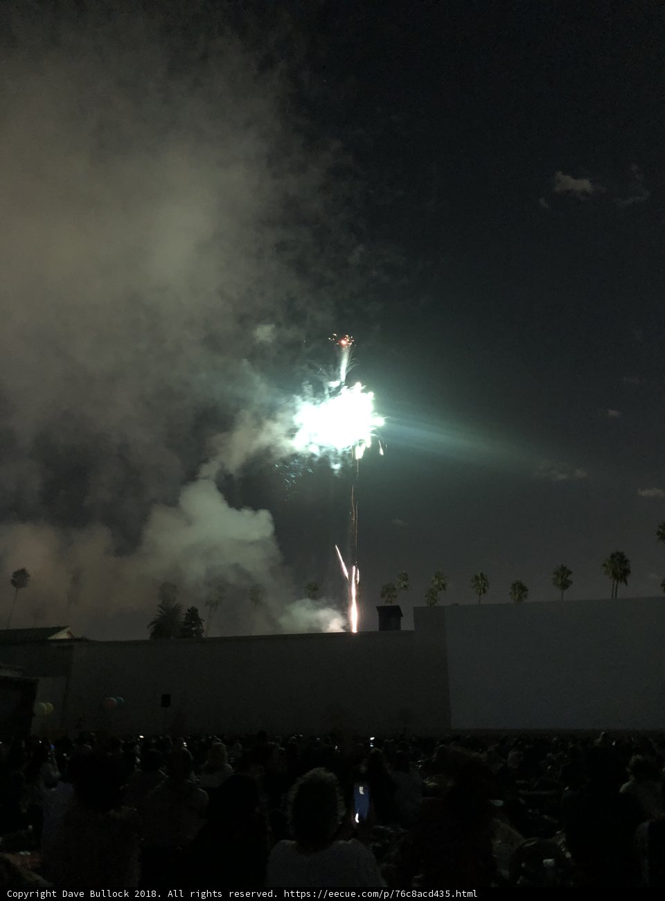 Sparkling Night