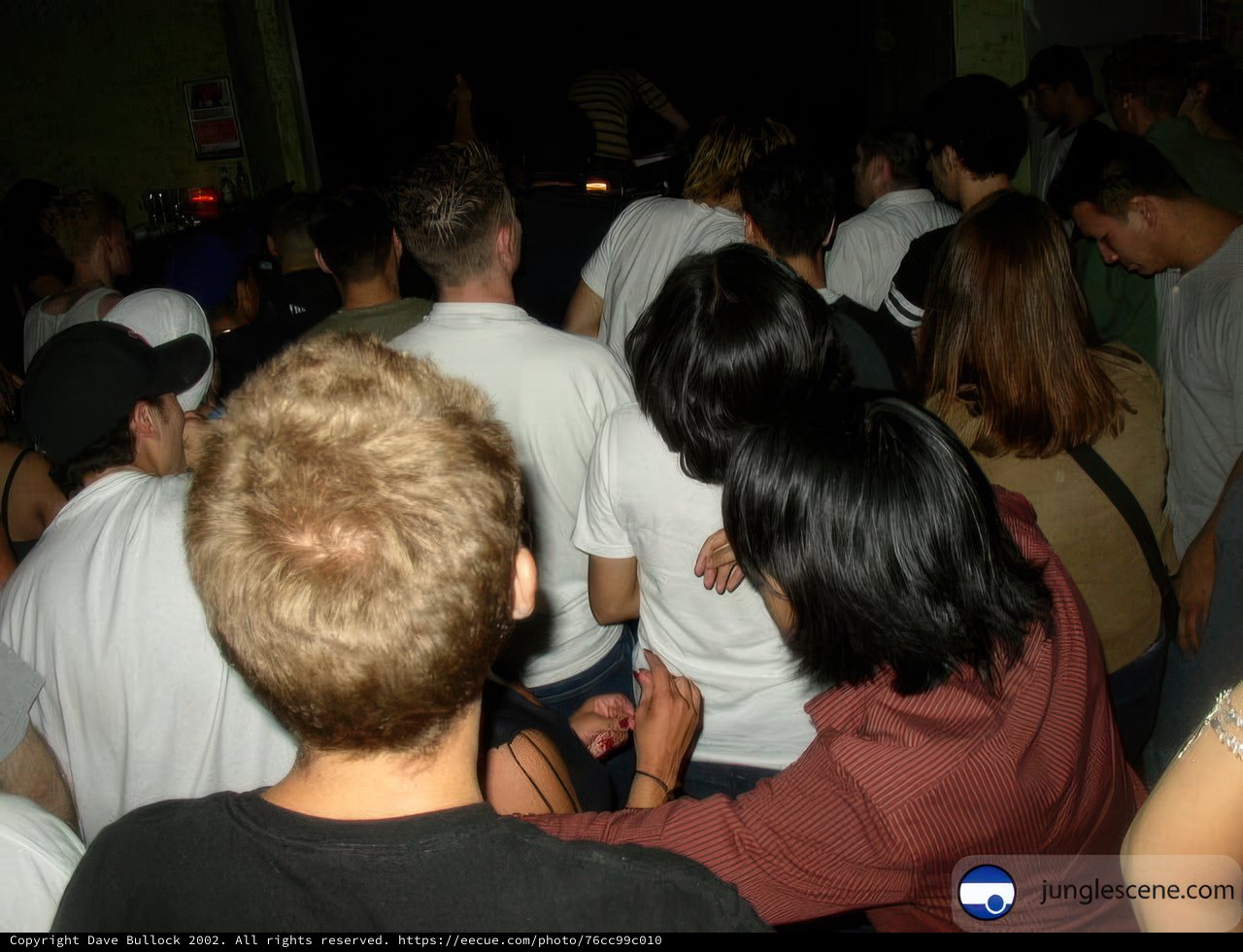 Nightclub Gathering