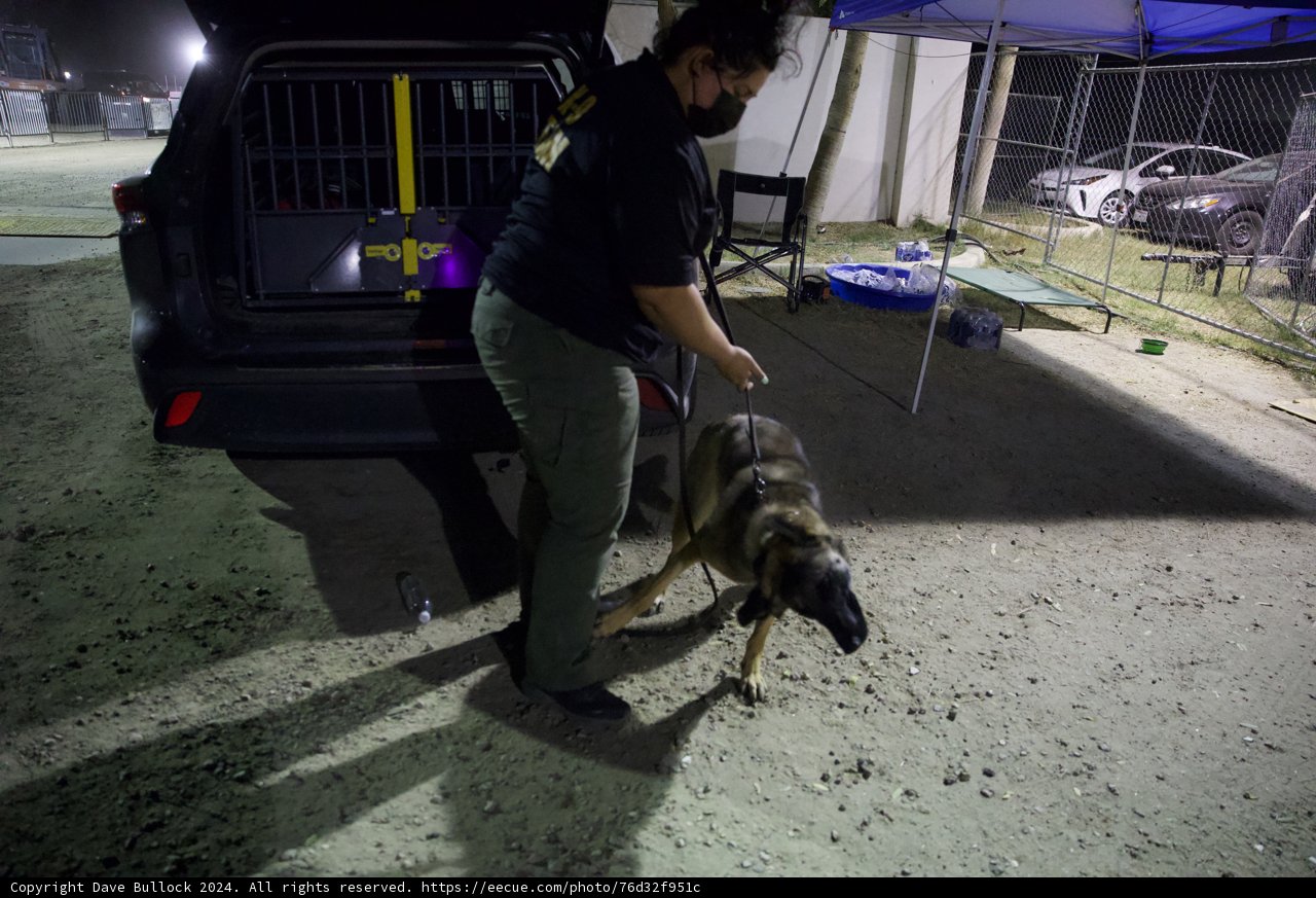 Night Shift: Man with His Police Dog at Coachella 2024
