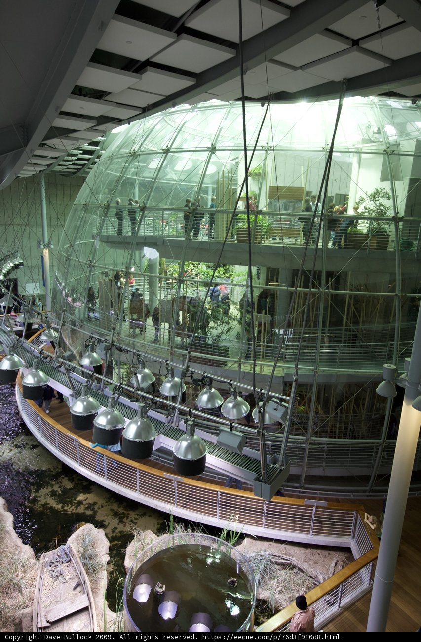 Inside the Glass Sphere