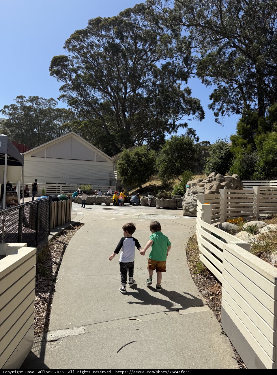 Summer Stroll in Sausalito