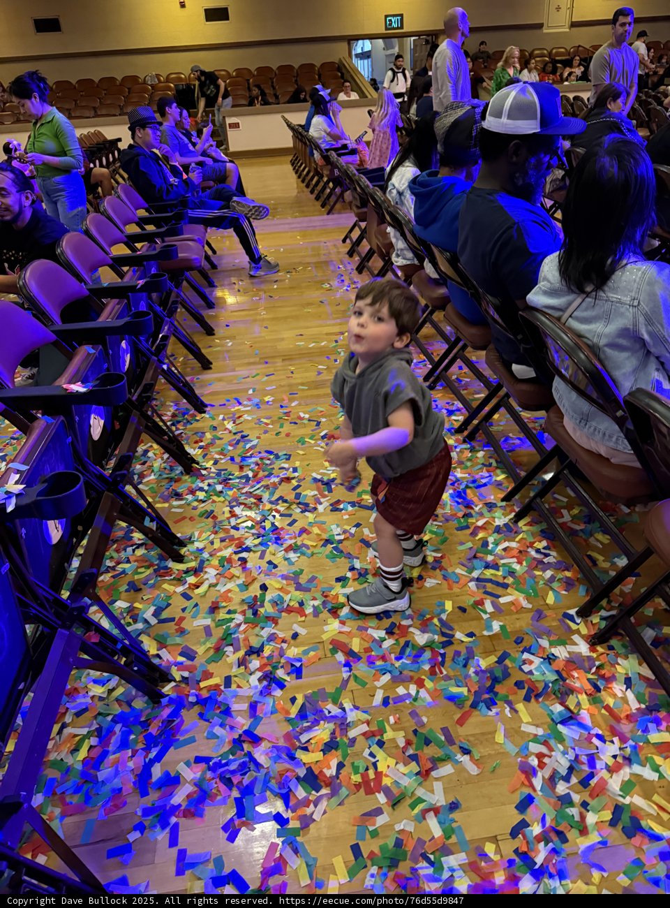 Confetti Wonderland