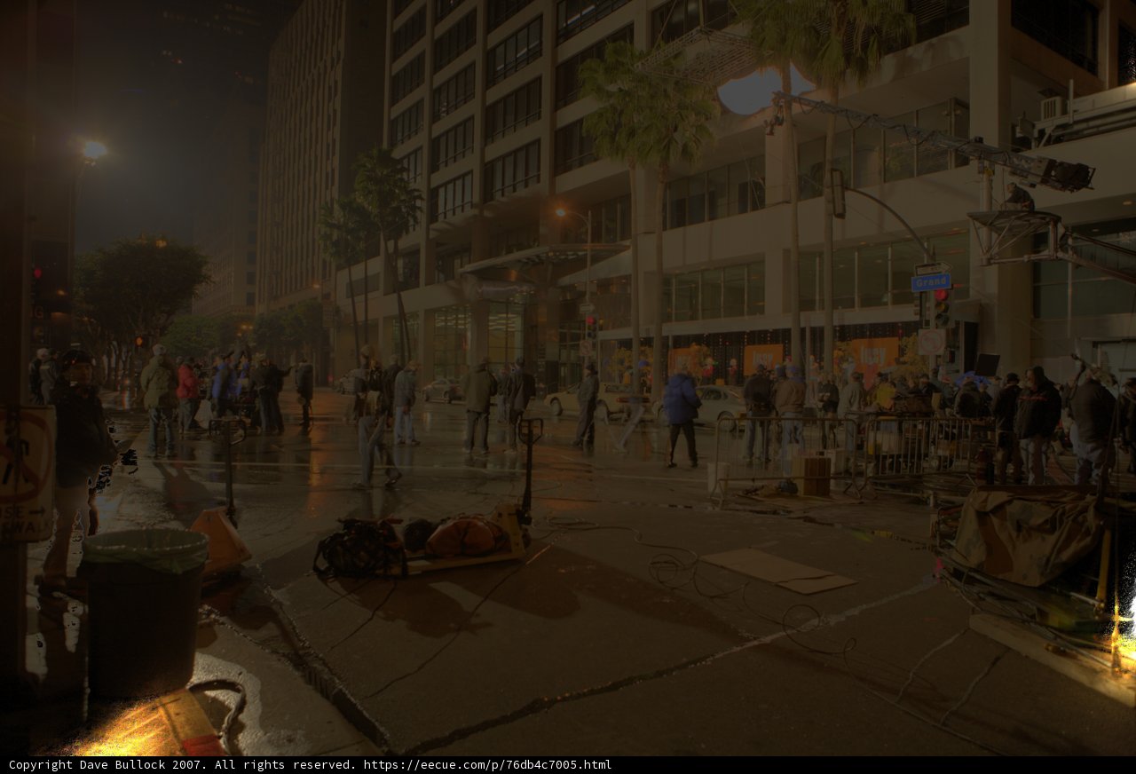 Night Out in the Urban Jungle
