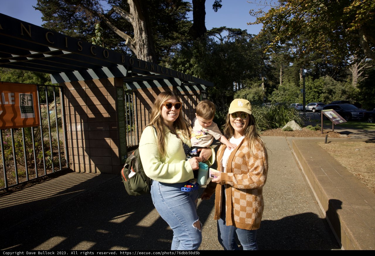 A Day Out in San Francisco's Wonders