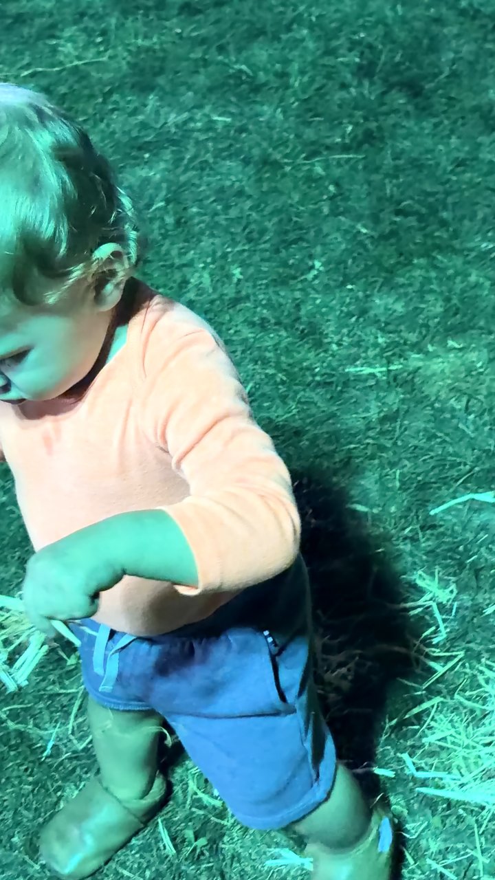 Little Explorer in Walnut Creek