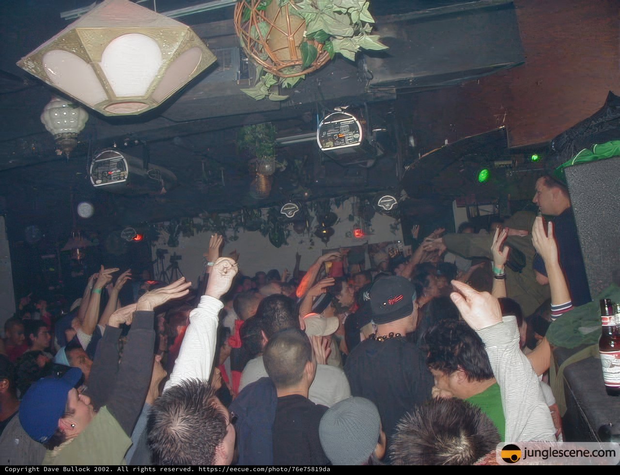 Nightclub Revelry