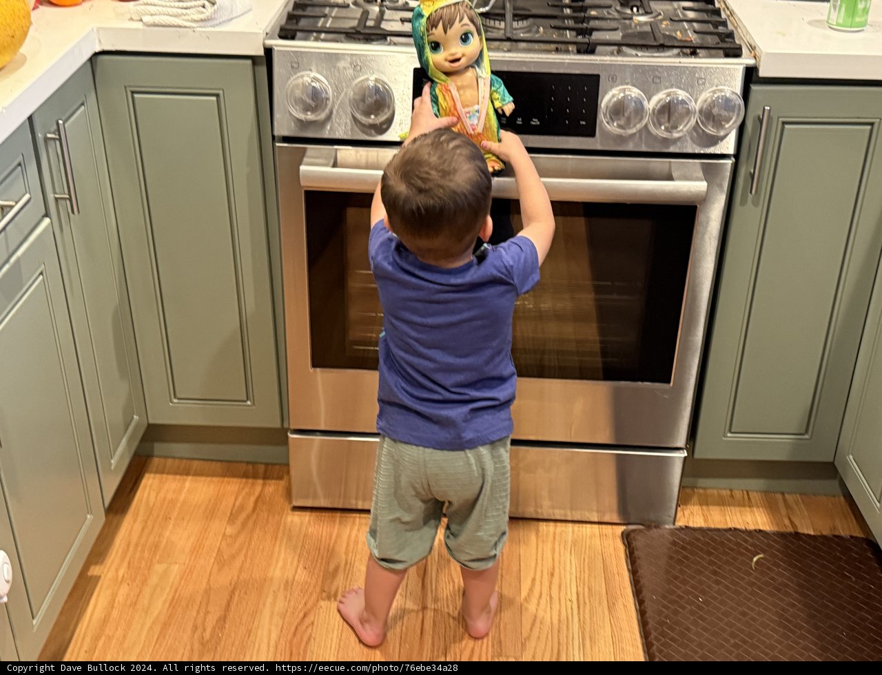 Curious Adventures in the Kitchen