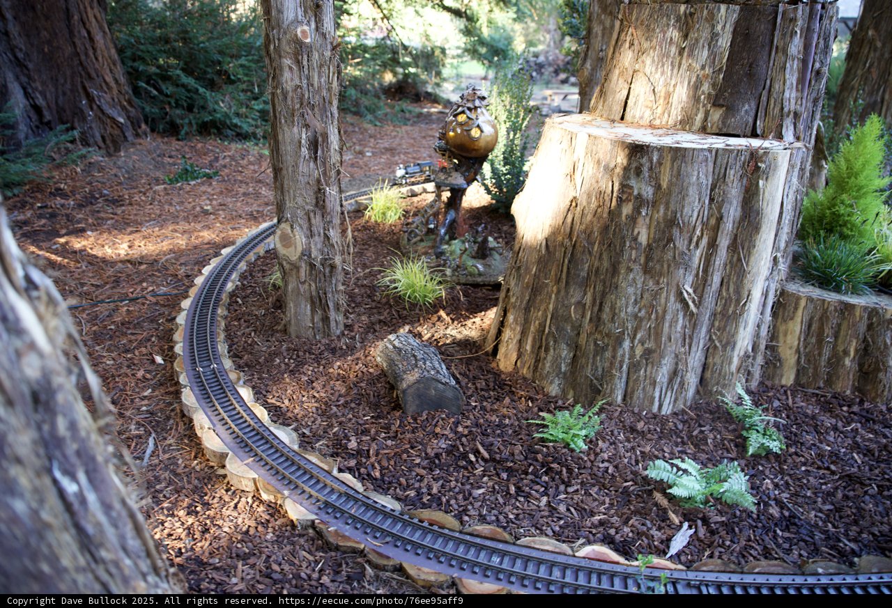 Miniature Wonders in Woodland