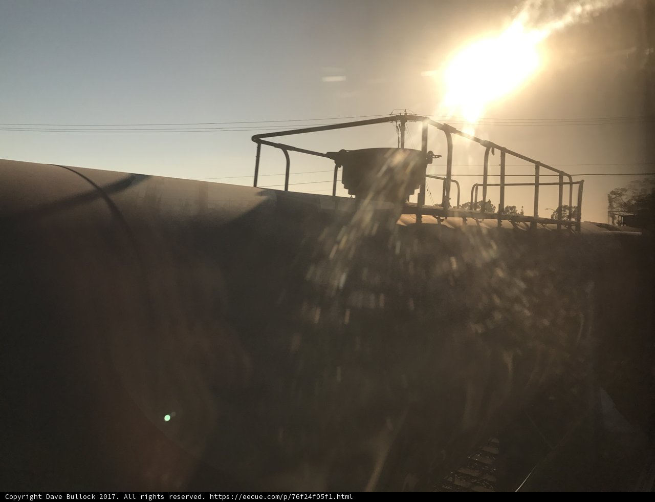 Sun-Kissed Train Journey