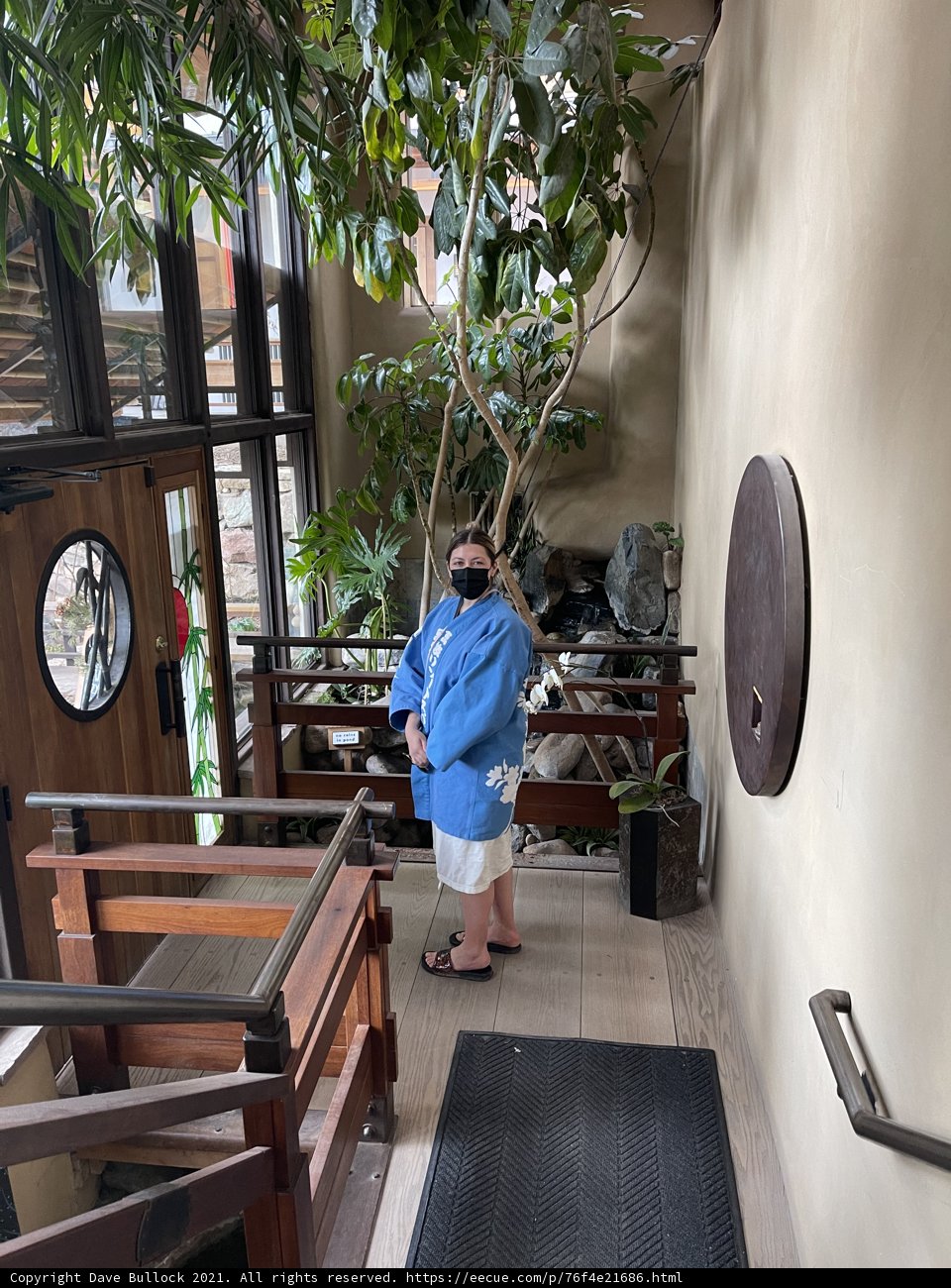 Man in Blue Shirt Admiring Decorative Plants in Santa Fe Hallway
