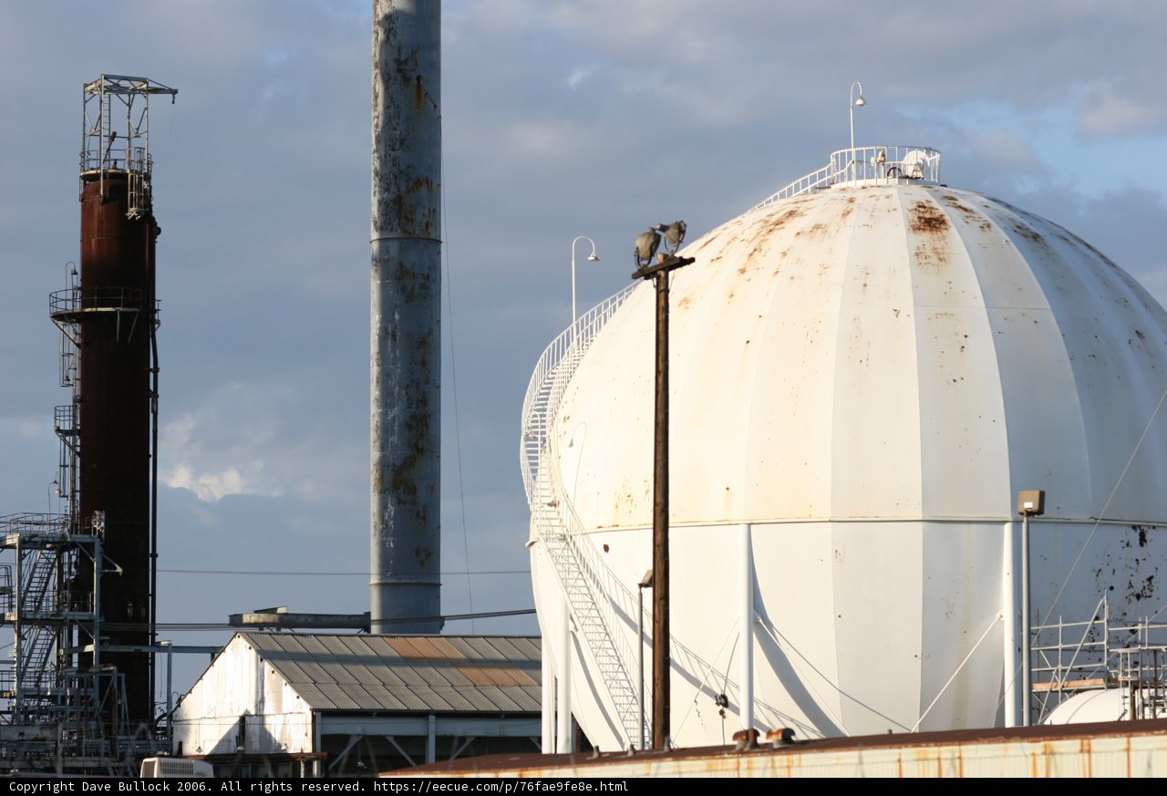 Majestic White Factory Dome