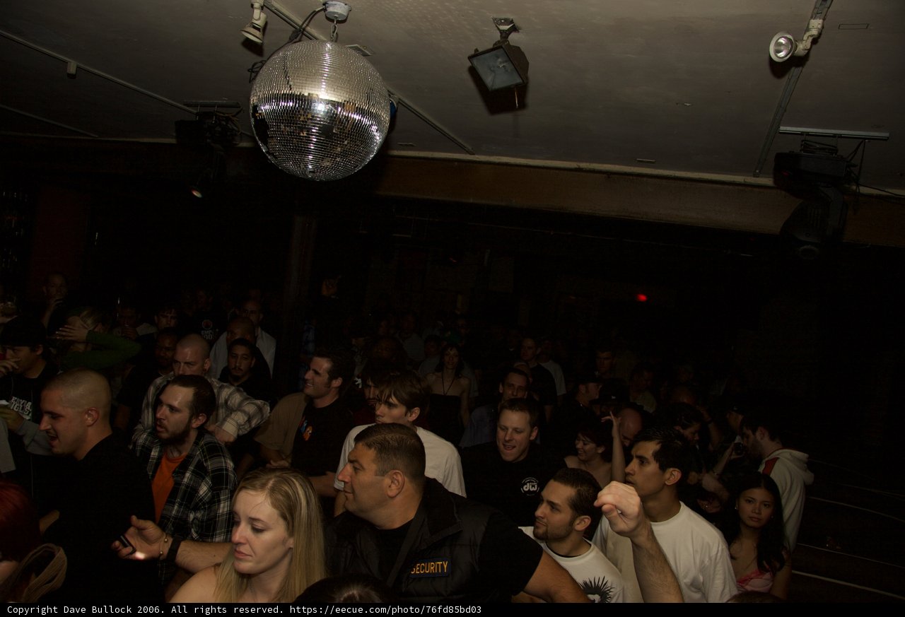 Nightclub Fun with Disco Ball Spotlight