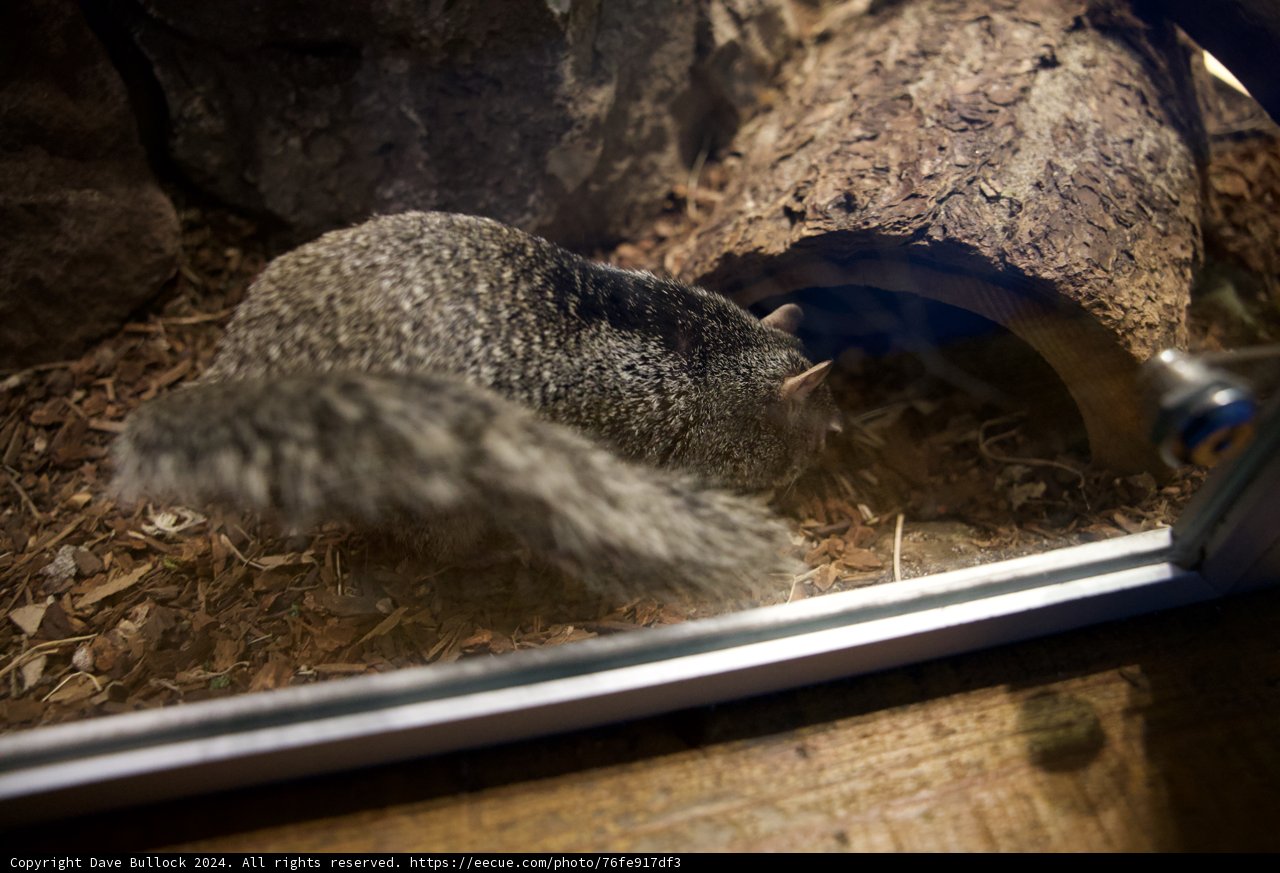 A Chance Encounter
