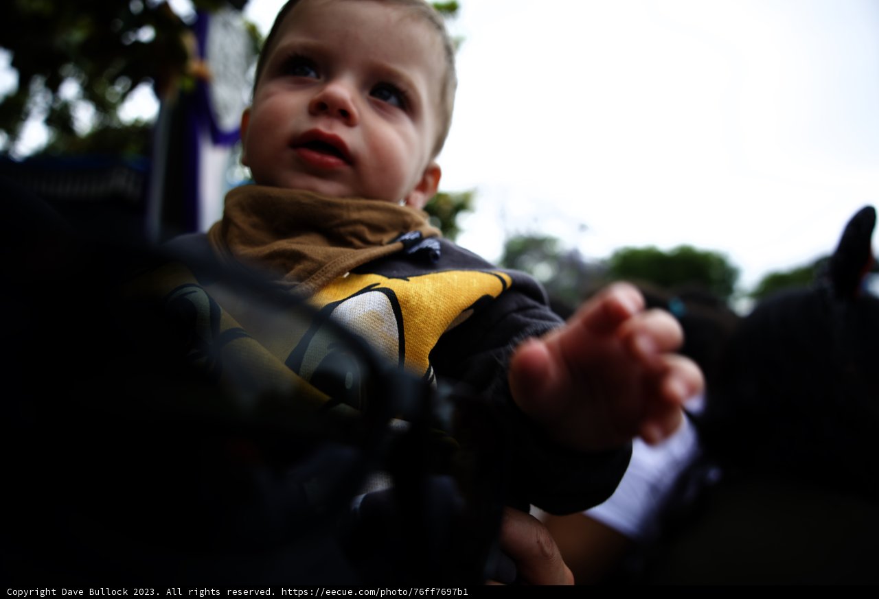 Little Bumblebee's Disneyland Adventure