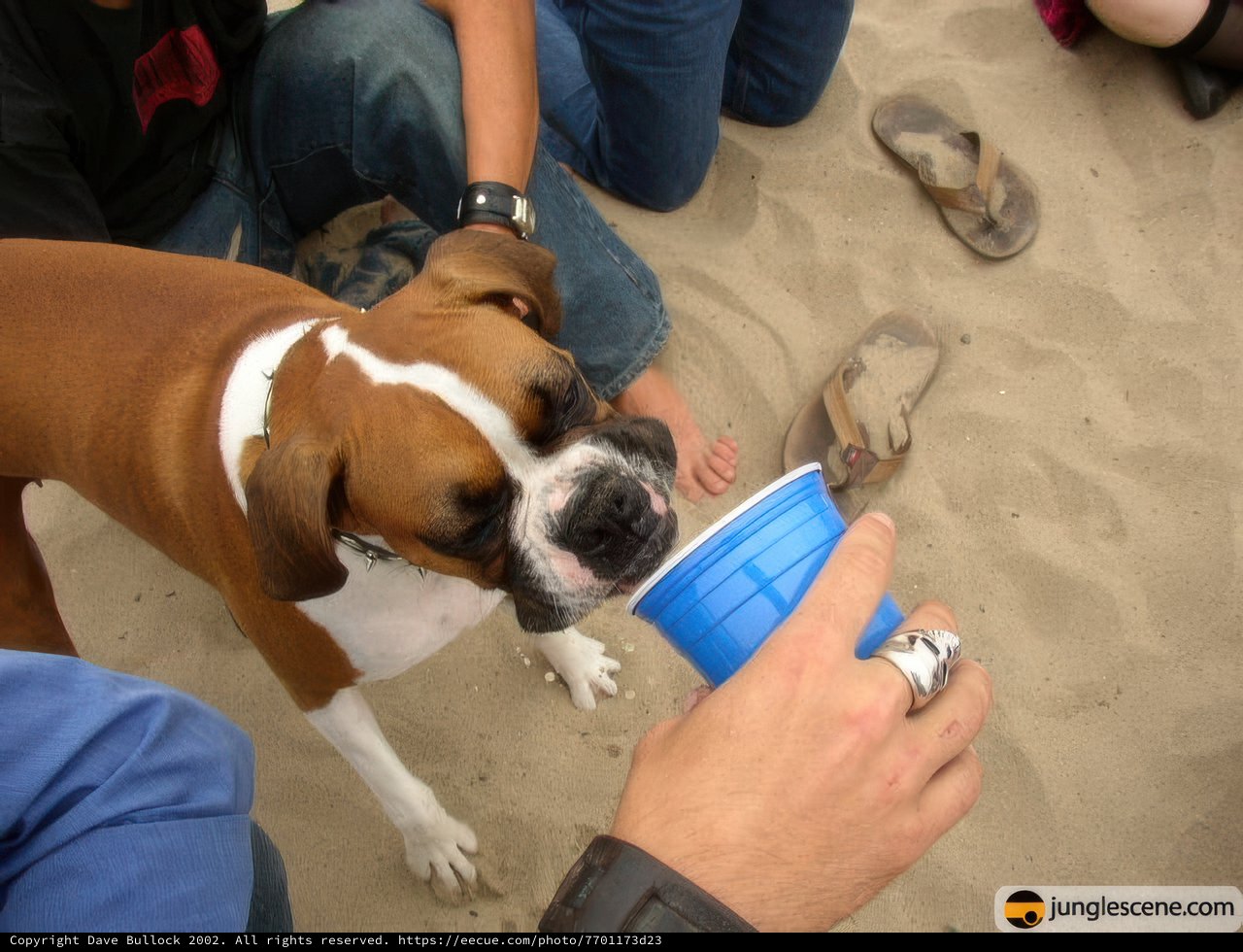 Quenching Thirst