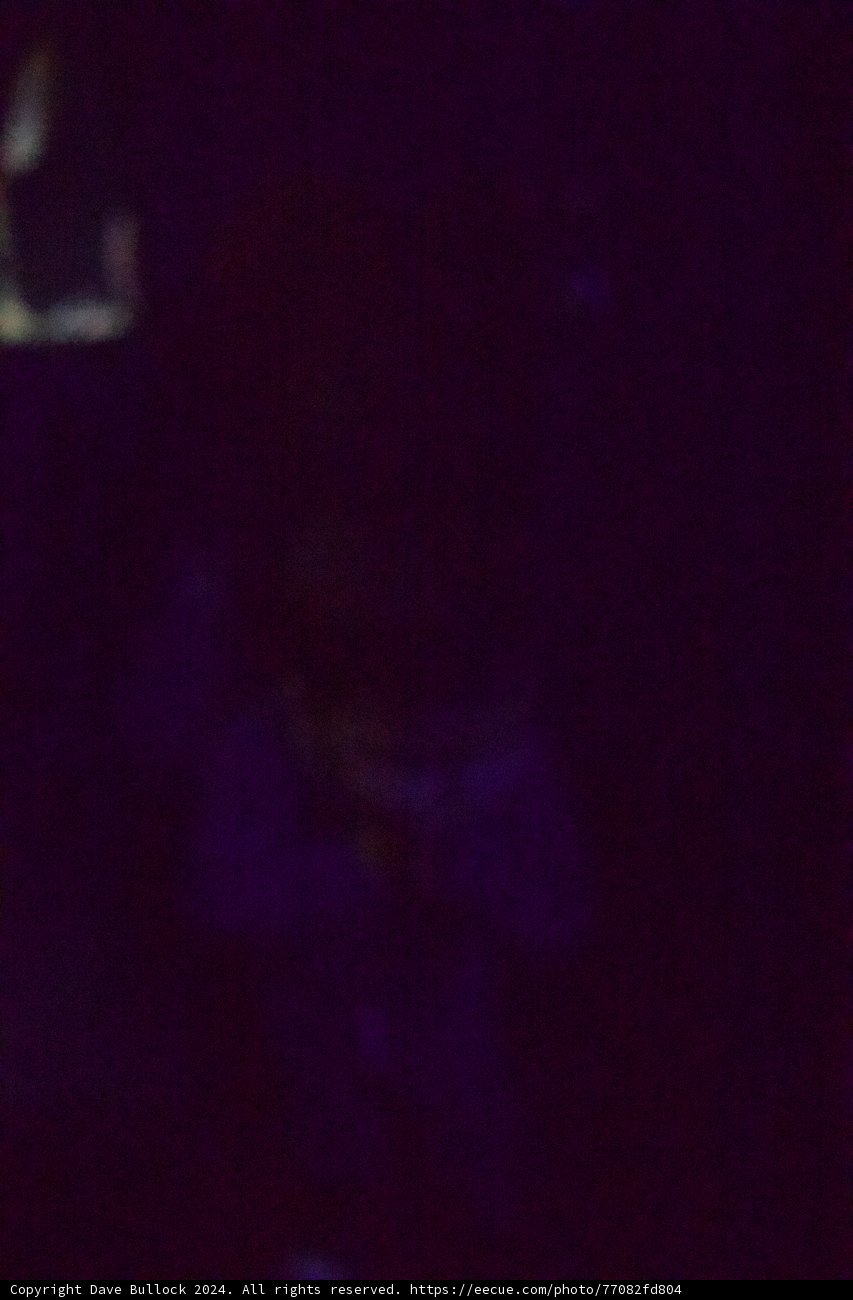 Introspection in the Purple Hue