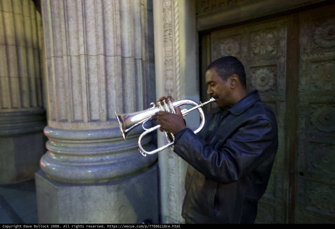 Trumpet Serenade