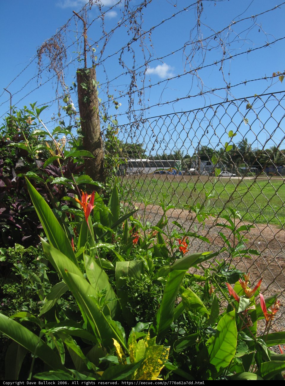 Secured Foliage