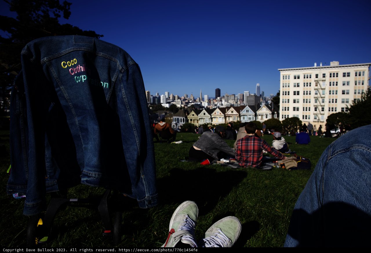Relaxing at Alamo Square
