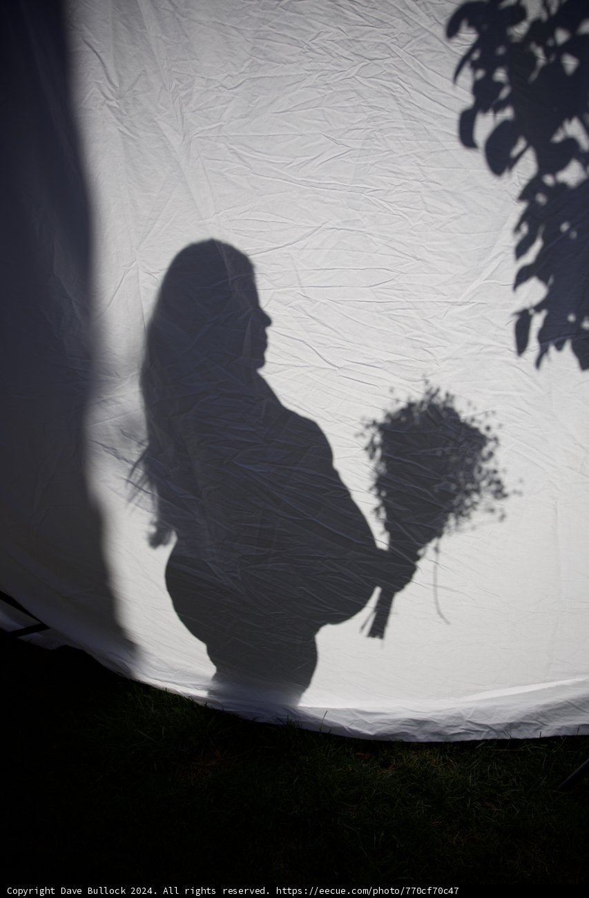 A Moment in Shadow