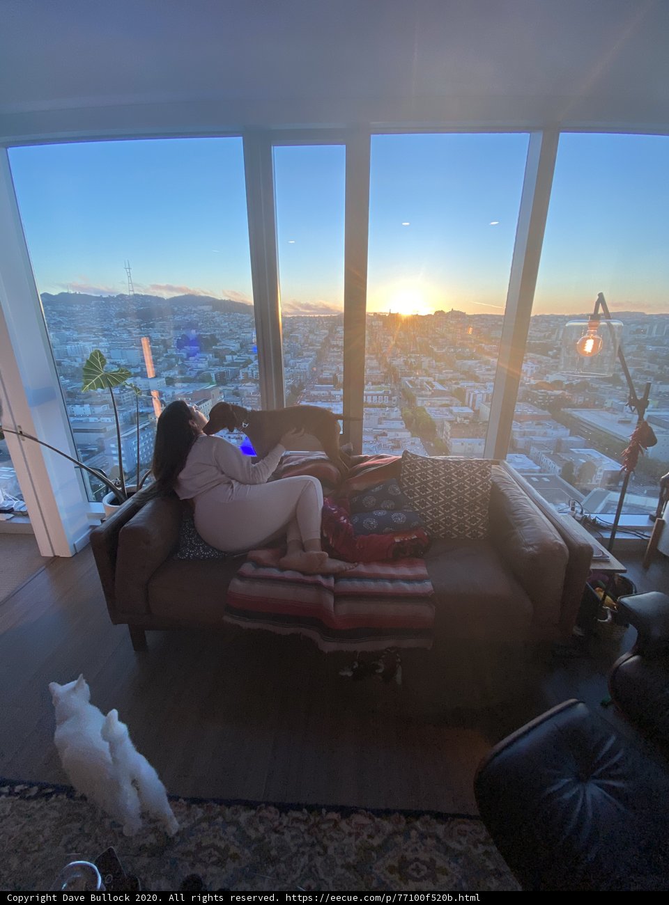 Cozy Afternoon with a Feline Friend