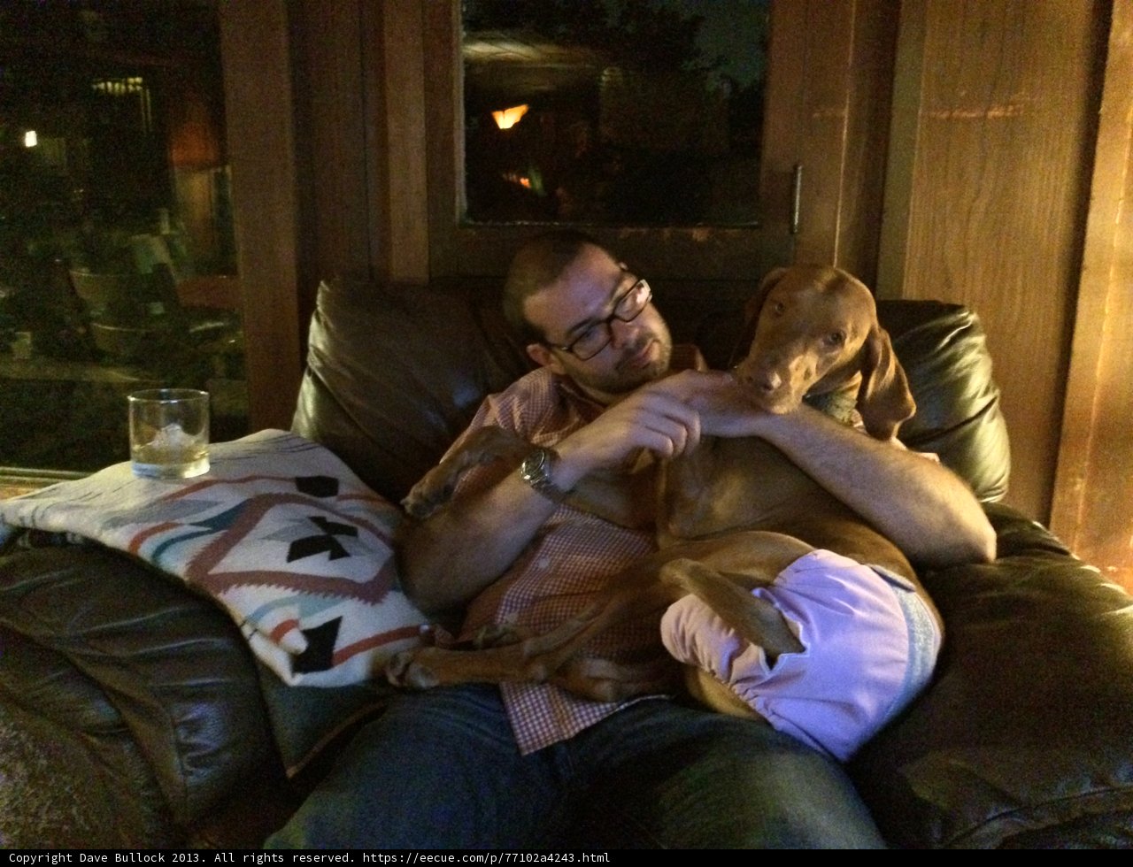 Man's Best Friend