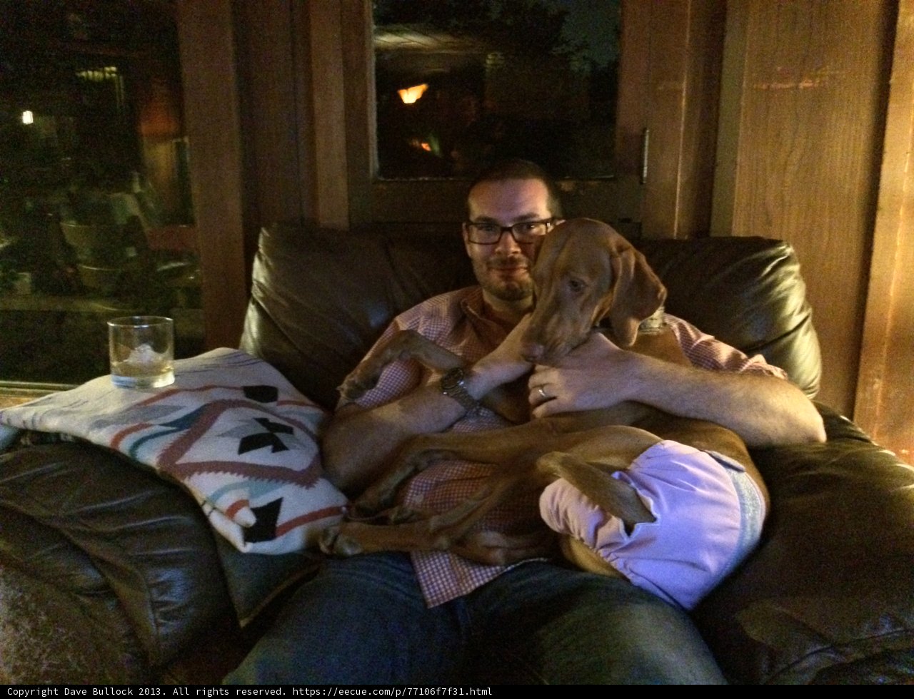Cozy Evening with Man's Best Friend