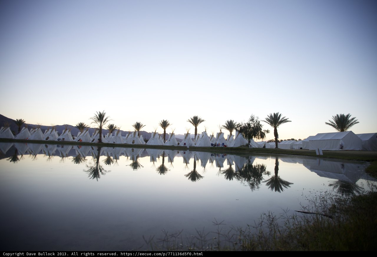 Palm Trees and Tents by the Lake