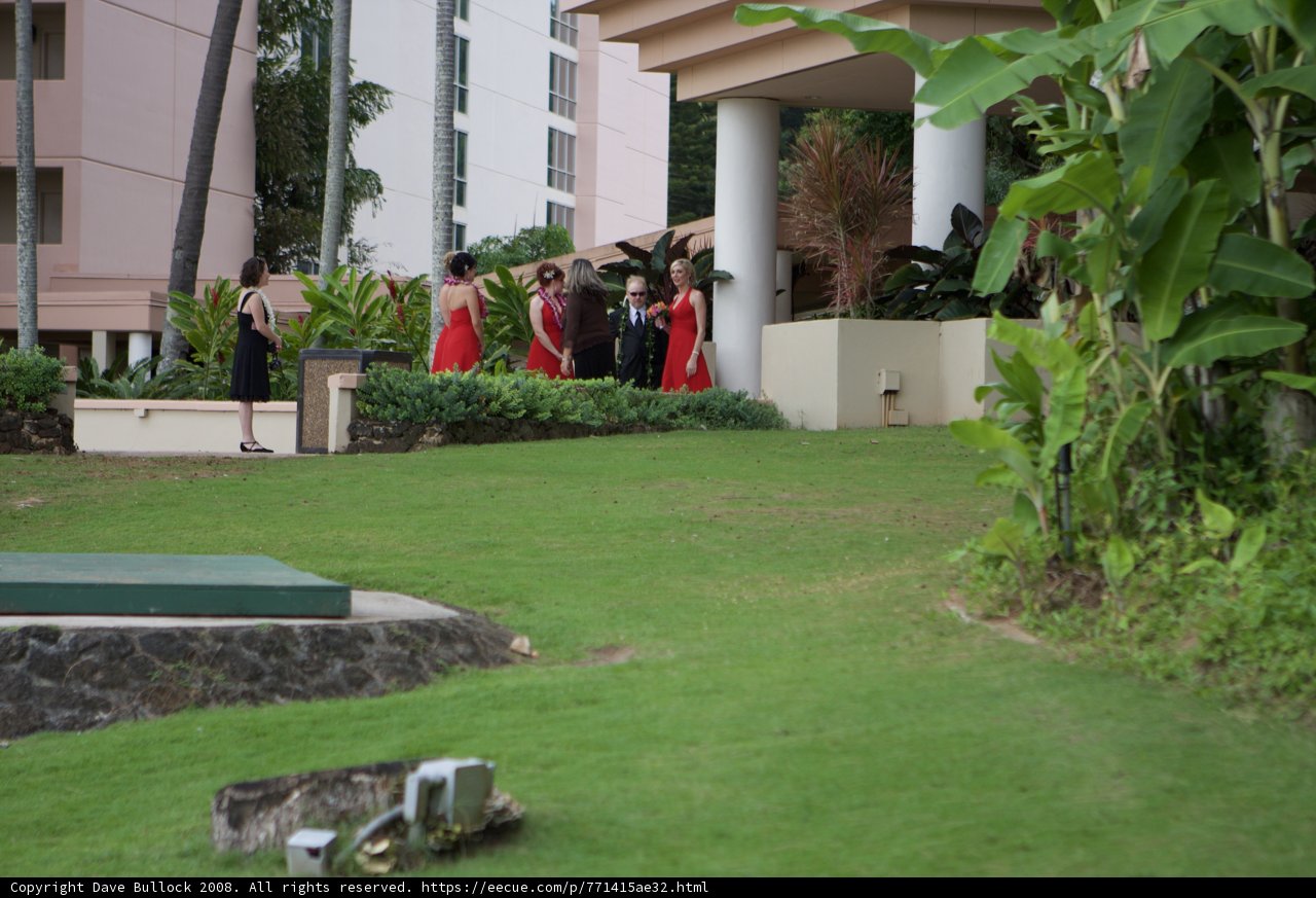 A Formal Affair in the Garden