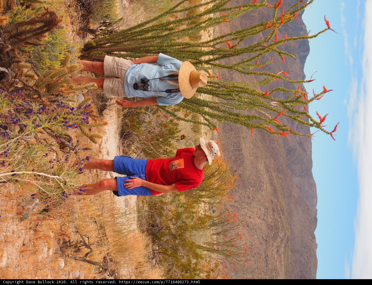 Two Men Embracing the Desert Landscape