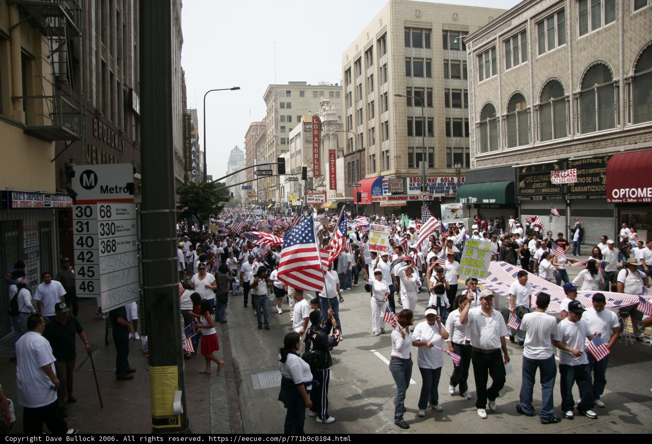 Patriotic Parade in the Metropolis