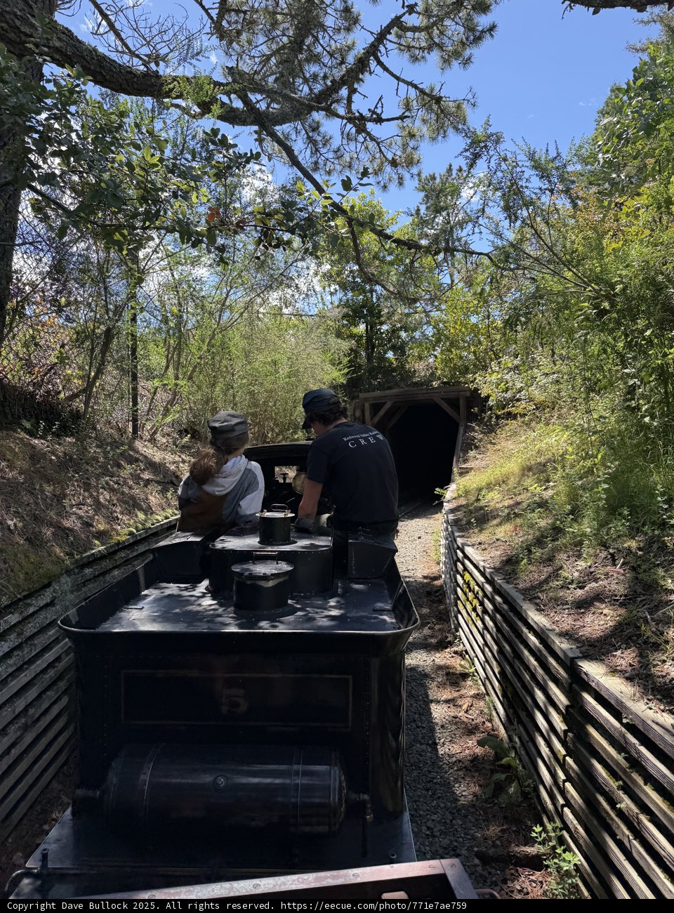 Nature’s Train Adventure
