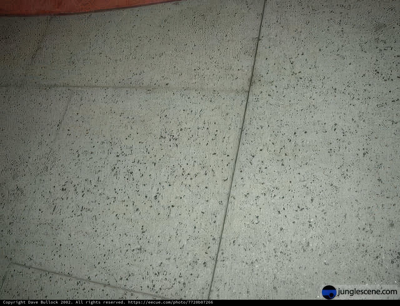 Spotted Flooring