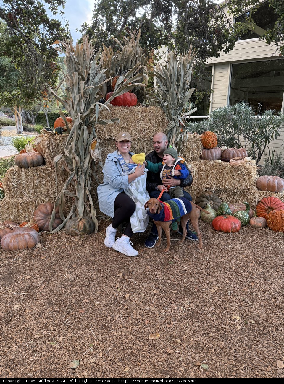 Autumn Gatherings in Carmel