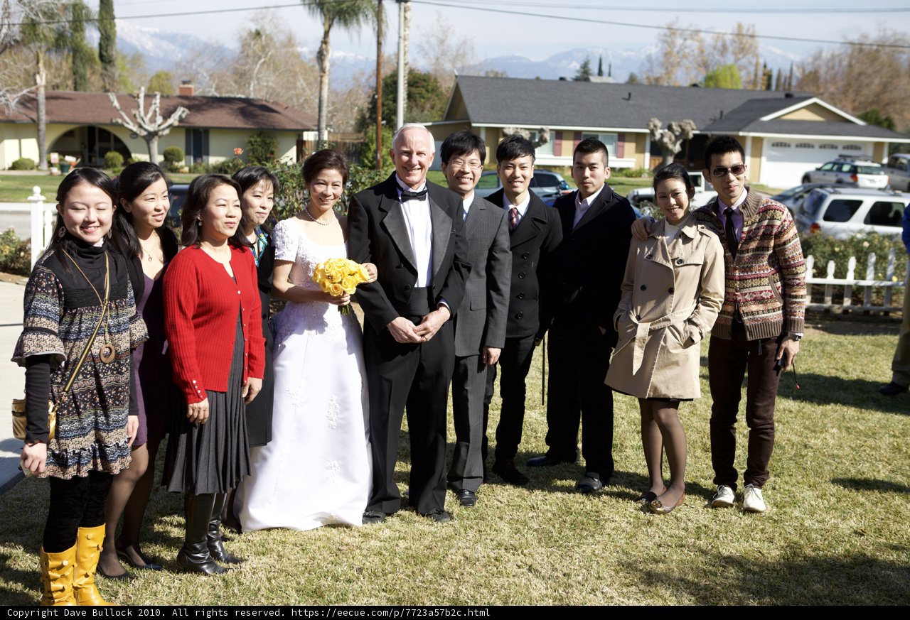 The Wedding Party Posing in the Garden