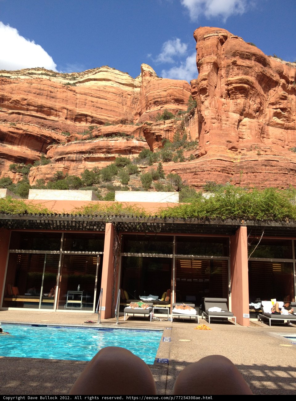 Relaxing by the Pool