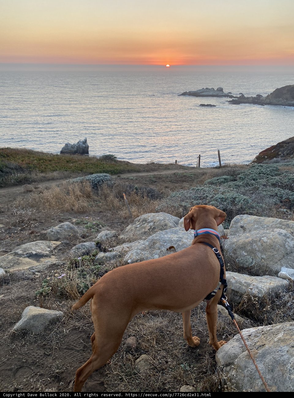 Overlooking the Pacific