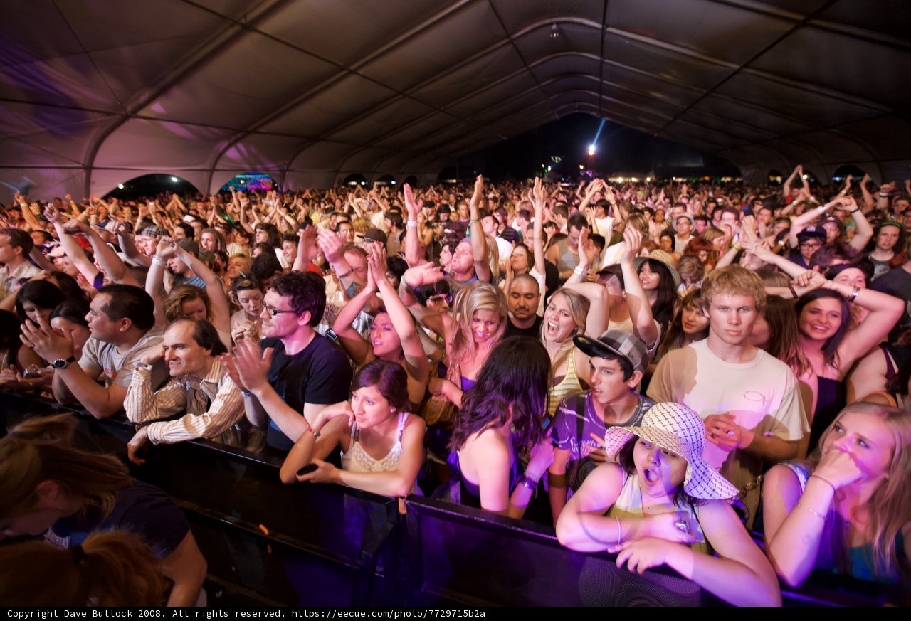 Euphoric Crowd at Coachella 2008