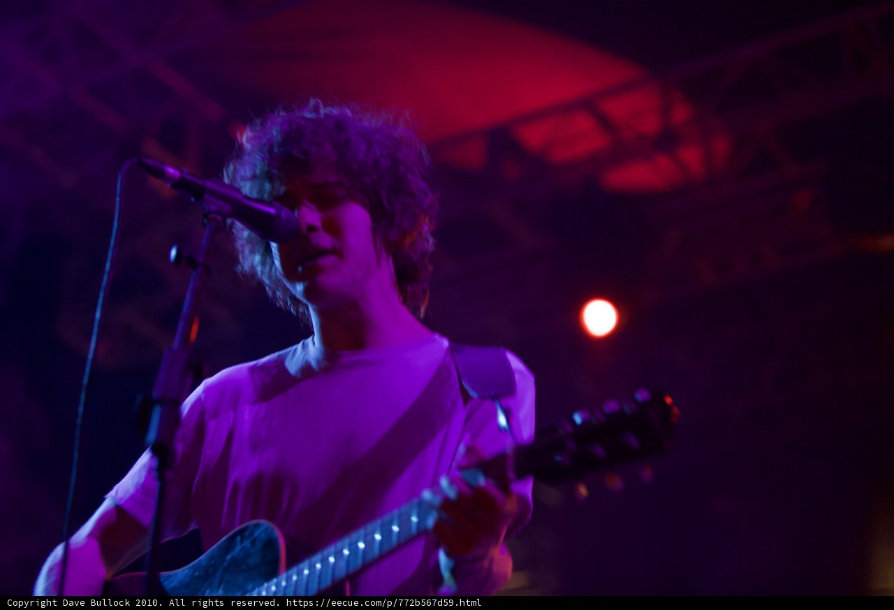Andrew VanWyngarden's Acoustic Serenade