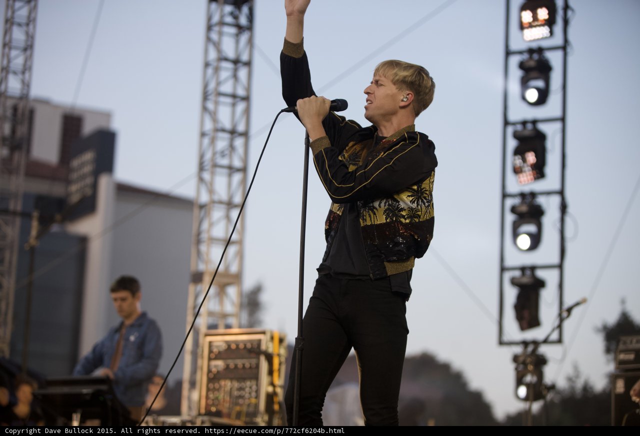 Fist Raised Triumphant