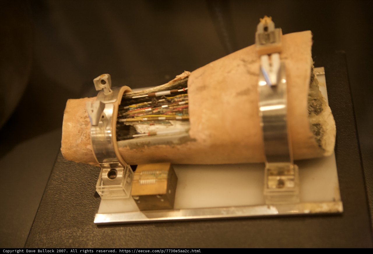 Archaeological Prosthetic Limb Model
